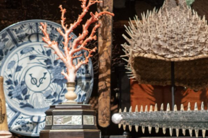 Drents Museum - Microkosmos - Wunderkammer